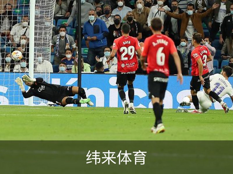 纬来体育品牌故事